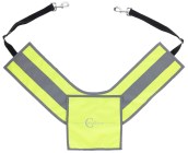 Reflective breastplate