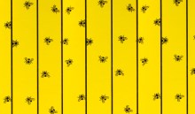 cit Stable Flypaper Sheet FlyMaster